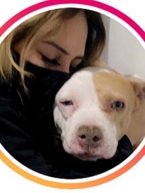 Tijuana Paws n Whiskers Rescue! ❤️